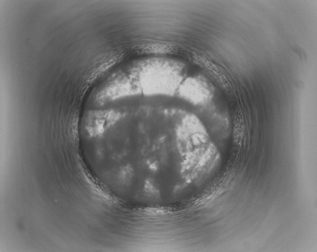 X0000115340394200911301552