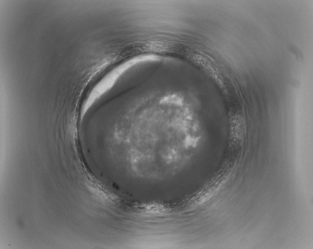 X0000115340395200911301552