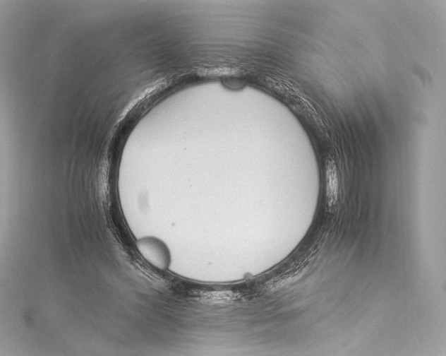 X0000115340396200911301552