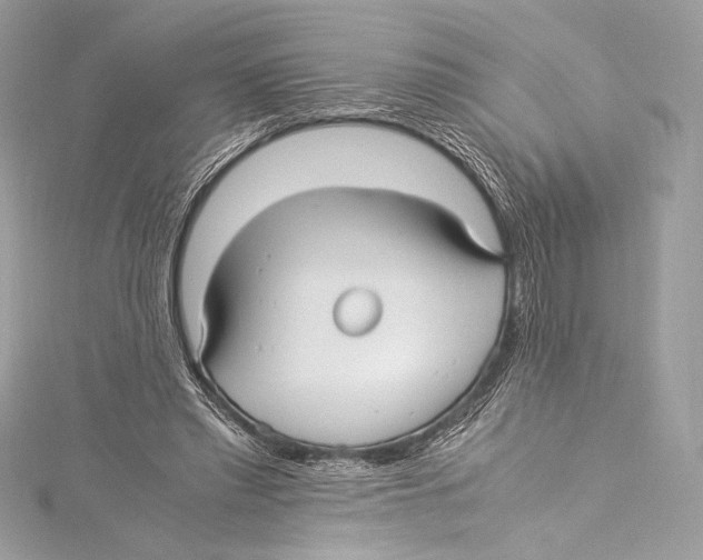 X0000115340397200911301552