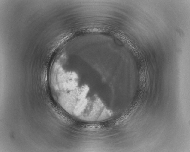 X0000115340398200911301552