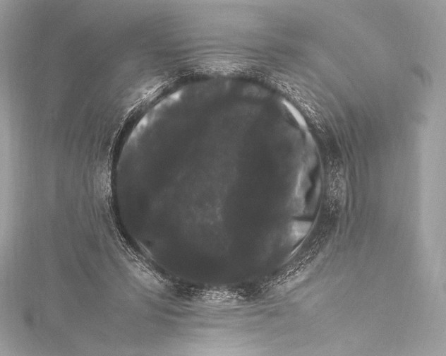 X0000115340399200911301552