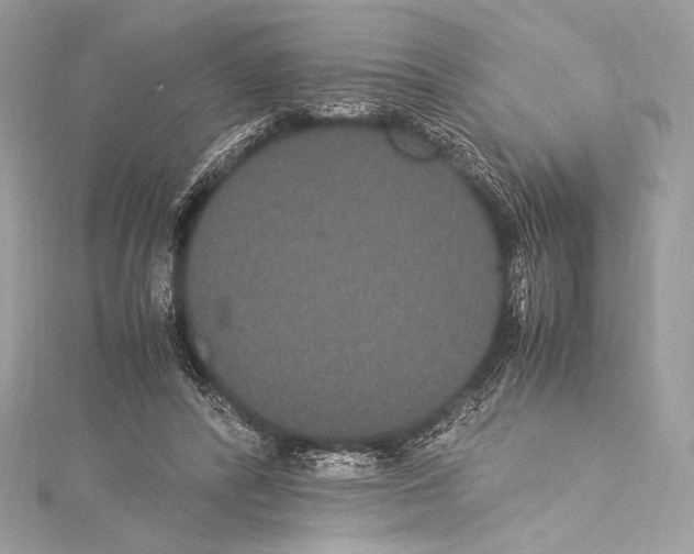 X0000115340400200911301552