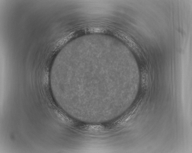 X0000115340401200911301552