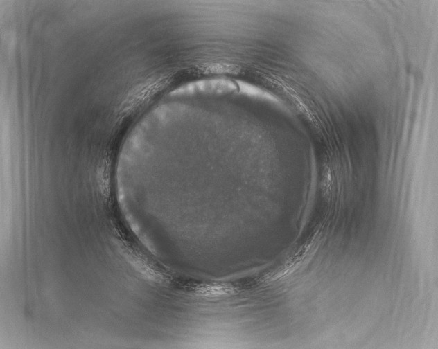 X0000115340402200911301552