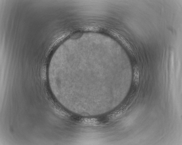 X0000115340403200911301552