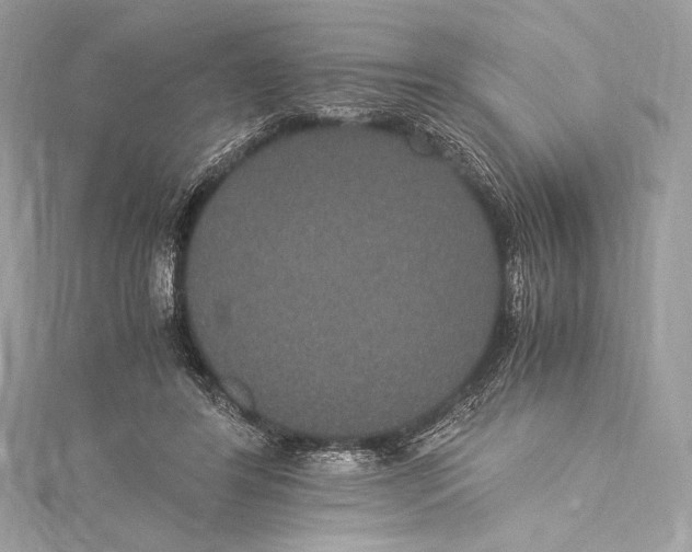 X0000115340404200911301552