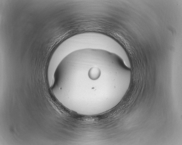 X0000115340405200911301552