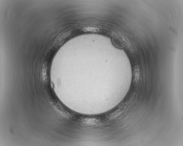 X0000115340408200911301552