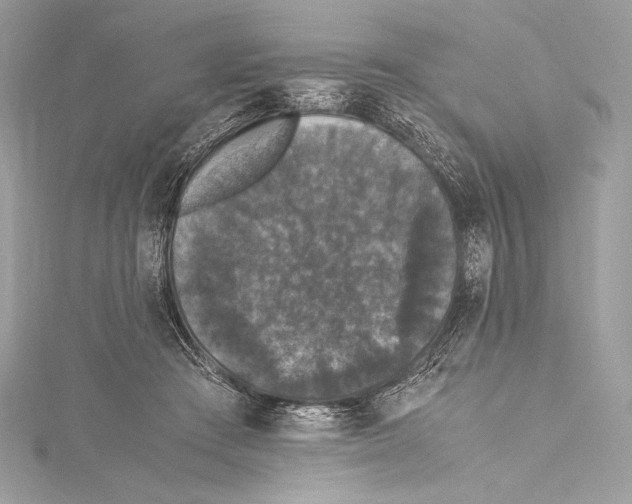 X0000115340409200911301552