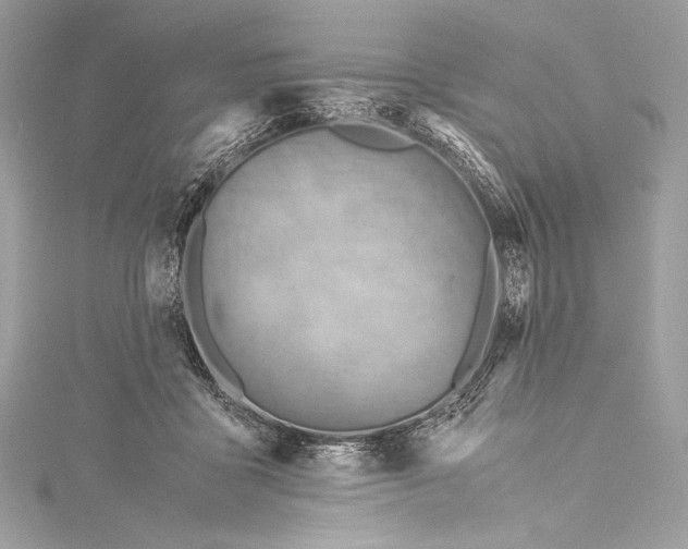 X0000115340411200911301552