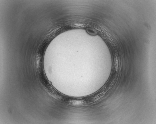 X0000115340412200911301552