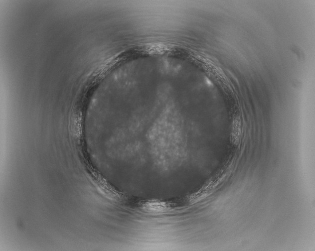 X0000115340413200911301552