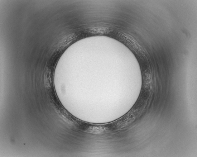 X0000115340414200911301552