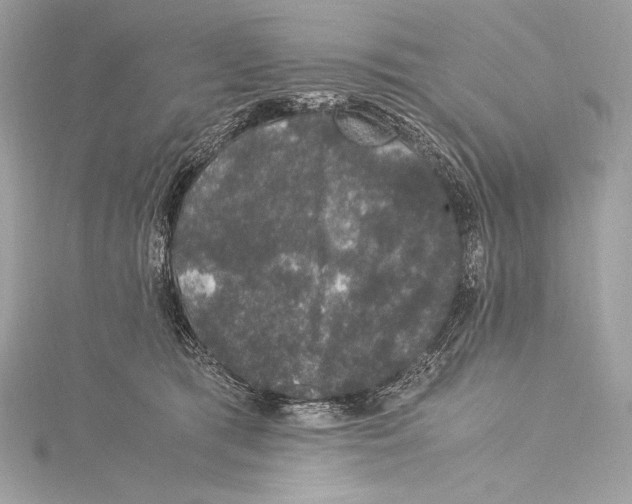 X0000115340417200911301552