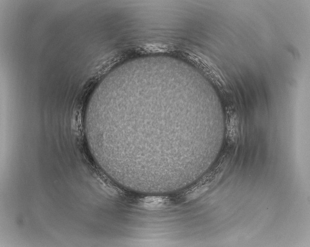 X0000115340418200911301552