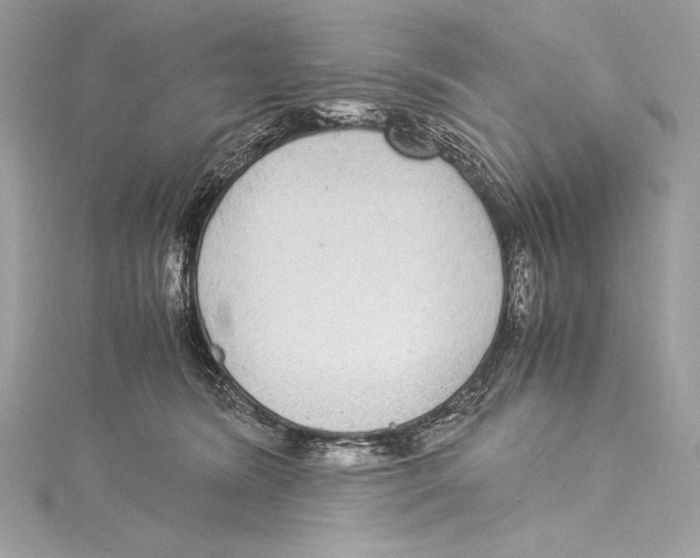 X0000115340420200911301552