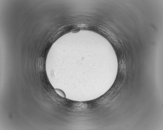 X0000115340421200911301551