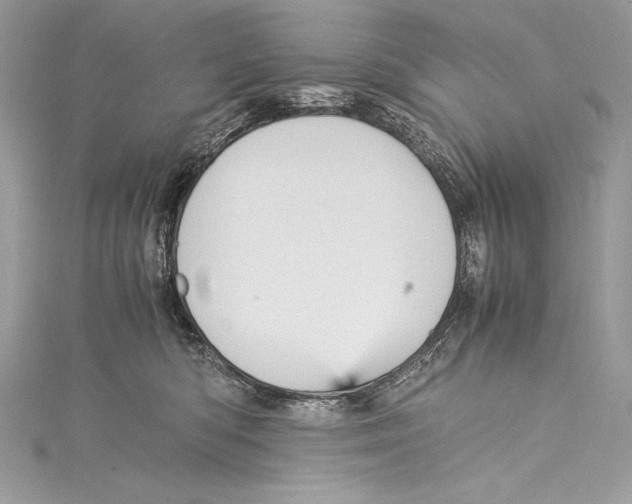 X0000115340422200911301551