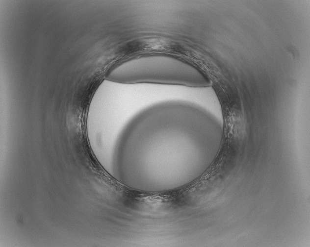 X0000115340423200911301551