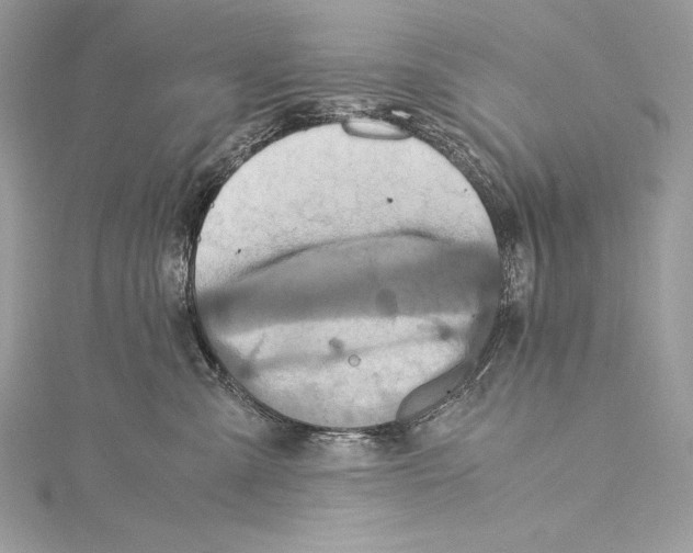 X0000115340427200911301551