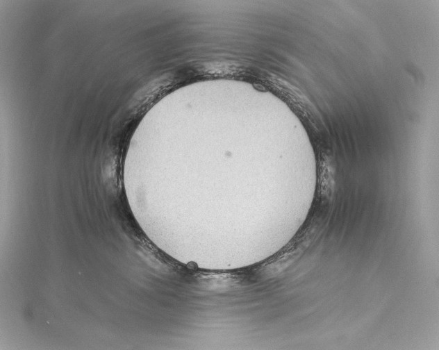 X0000115340428200911301551