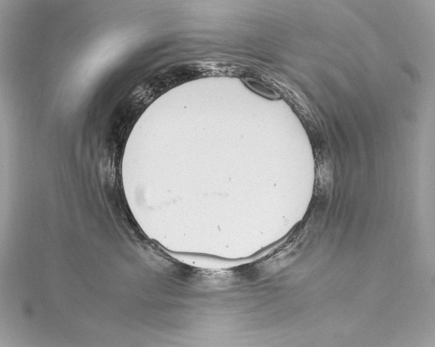 X0000115340429200911301551