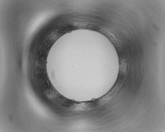 X0000115340430200911301551