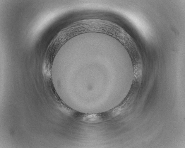 X0000115340431200911301551