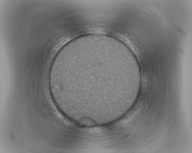 X0000115340433200911301551