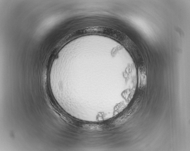 X0000115340435200911301551