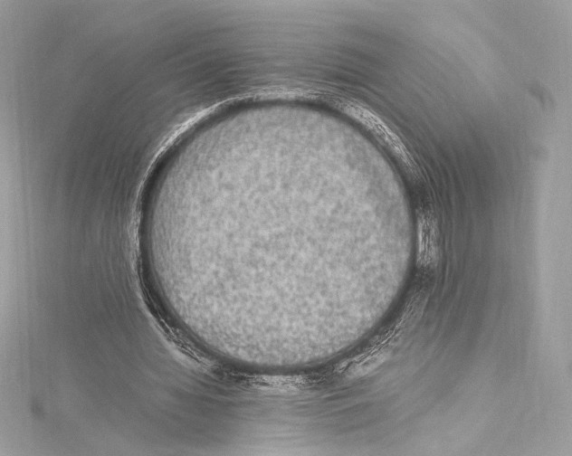 X0000115340436200911301551