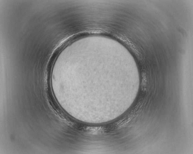 X0000115340440200911301551