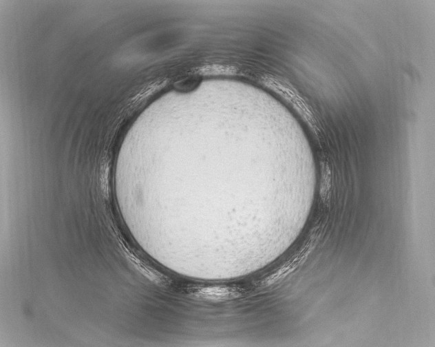 X0000115340441200911301551