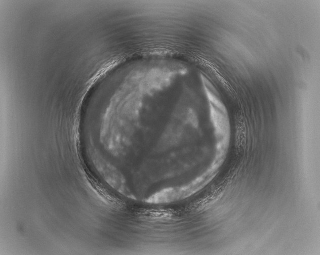 X0000115340443200911301551