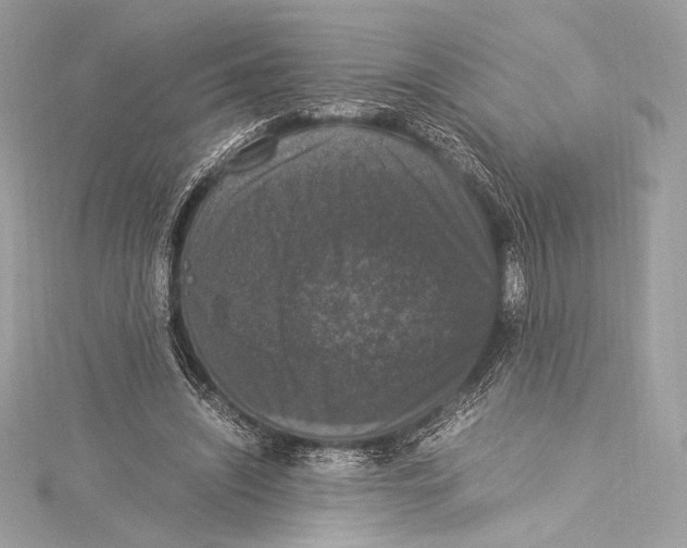 X0000115340444200911301551