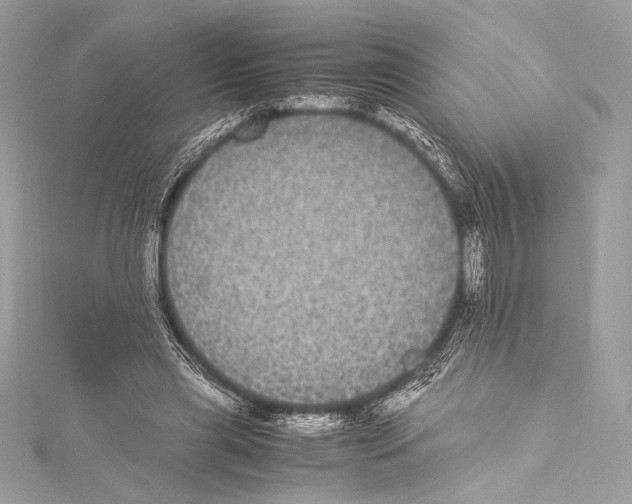 X0000115340445200911301551