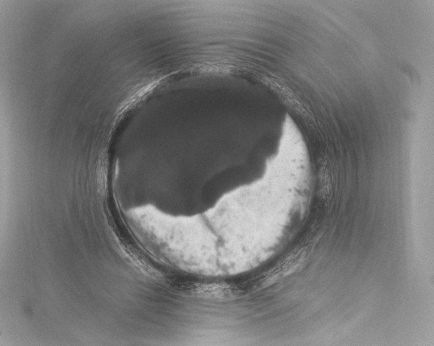 X0000115340446200911301551