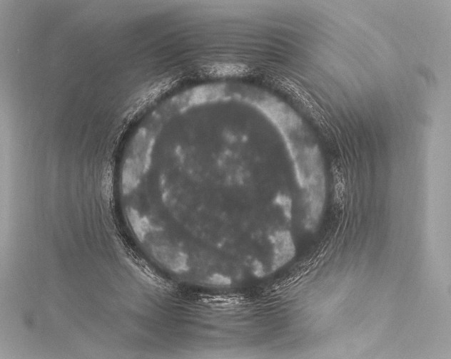 X0000115340447200911301551