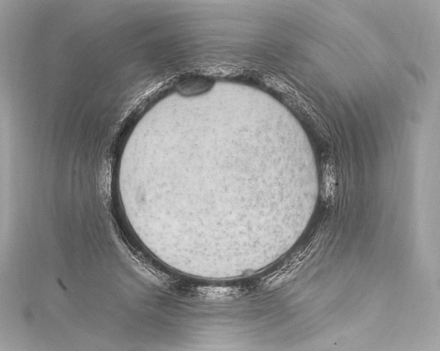 X0000115340448200911301551