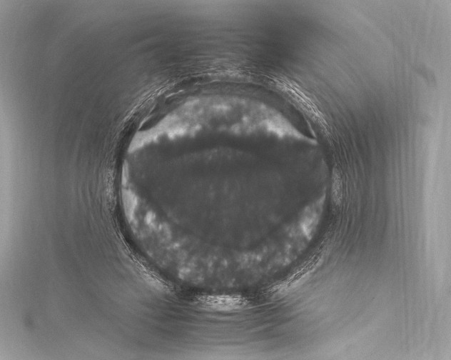 X0000115340449200911301551