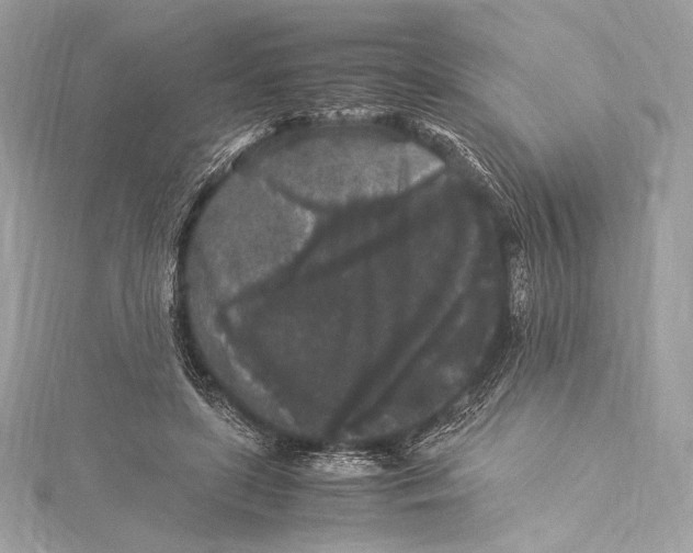 X0000115340451200911301551