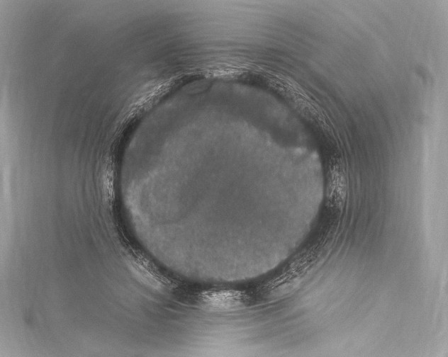 X0000115340452200911301551