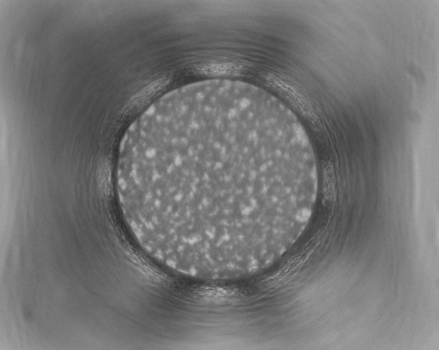 X0000115340453200911301551