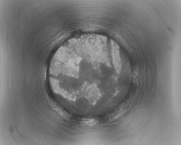 X0000115340454200911301551