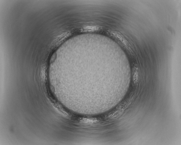 X0000115340455200911301551