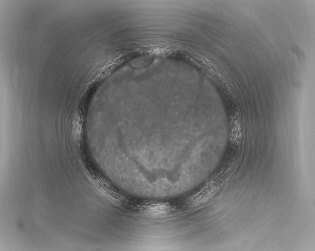 X0000115340456200911301551