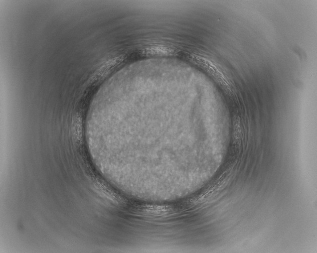 X0000115340457200911301551