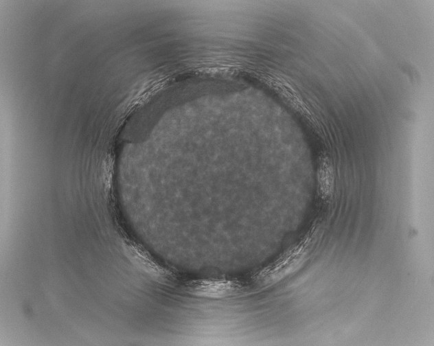 X0000115340458200911301551