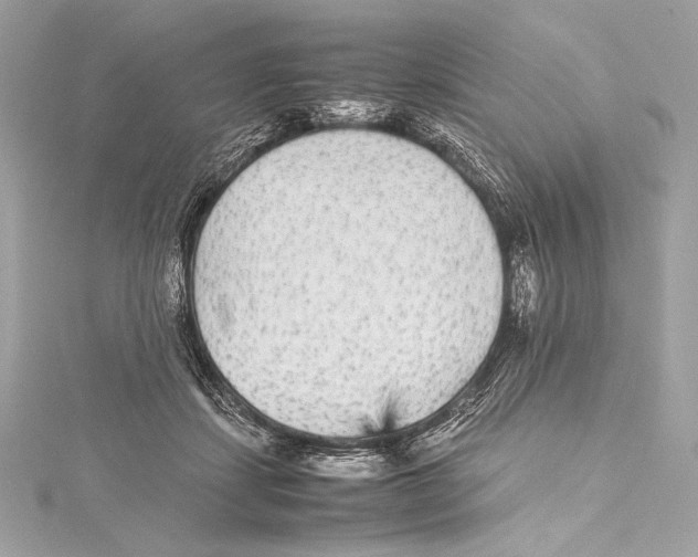 X0000115340459200911301551